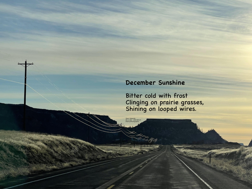 Frost on the looping wires shining on a December afternoon along Banks Lake