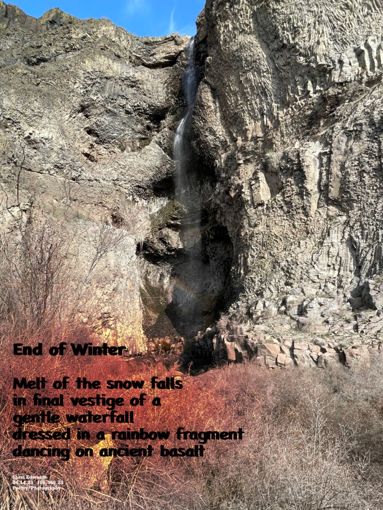 Rainbow in lower third of last vestige of snow melt waterfall over the basalt coulee walls