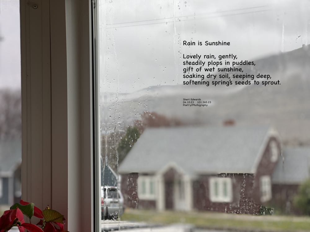 Out my window, I’d love to see sunshine, but so glad for this gentle rain.