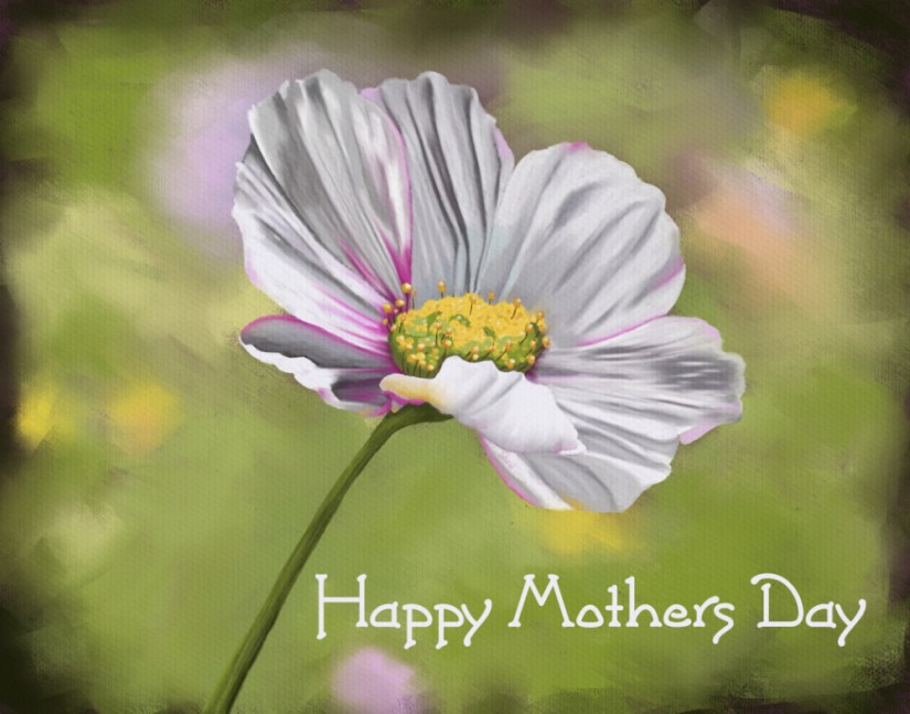 white flower with tinges of pink for Mothers Day in a digital pastel style