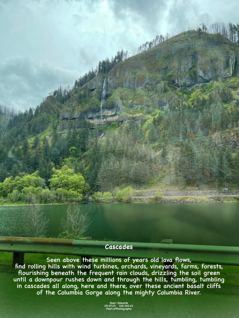 A waterfall cascading over the Columbia Gorge along the mighty Columbia River.