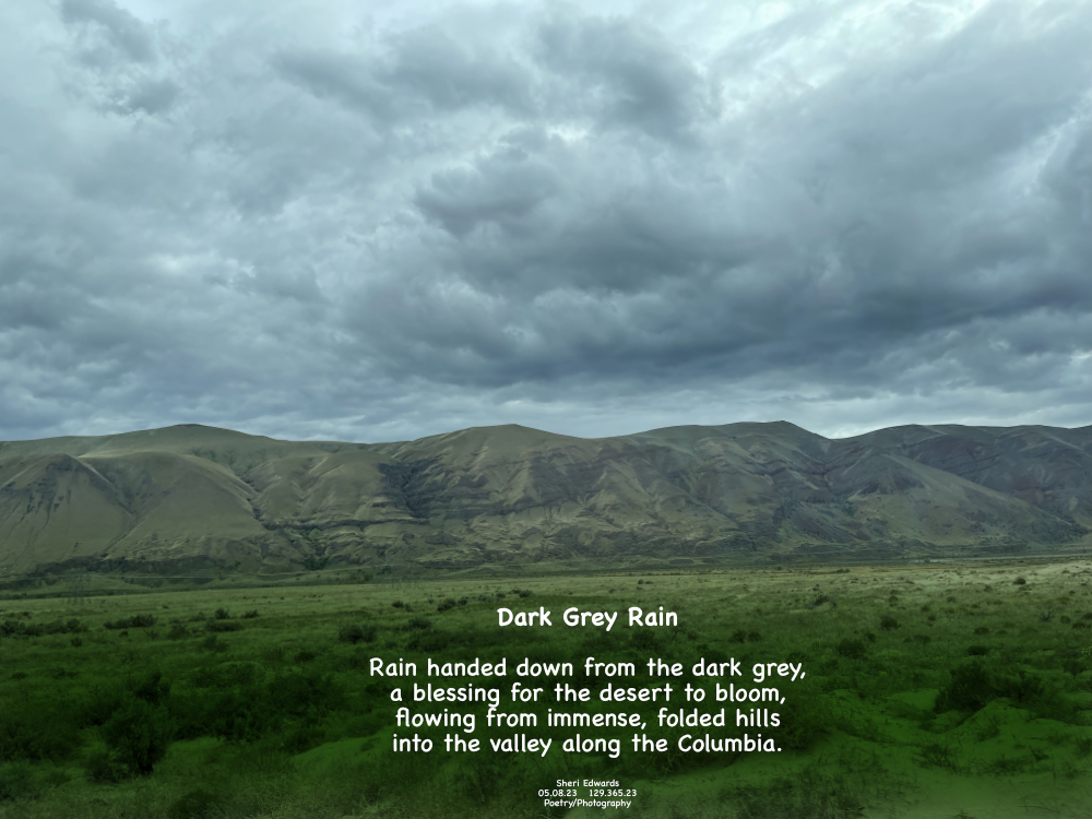 Yakima Fold Belt along the Columbia River near Hanford Reach