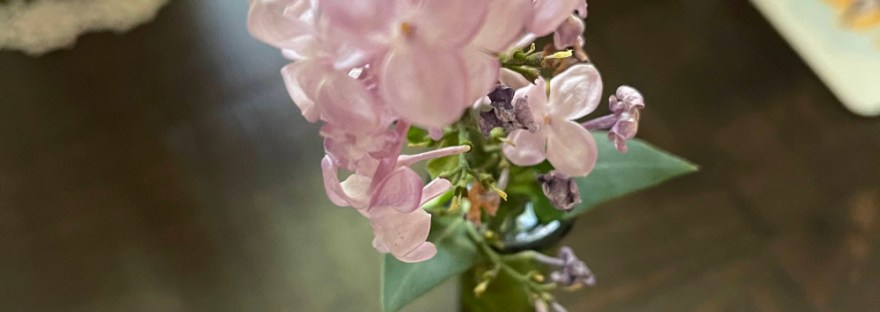 Just one blossom of the Lilac bush in a green vase on the table.