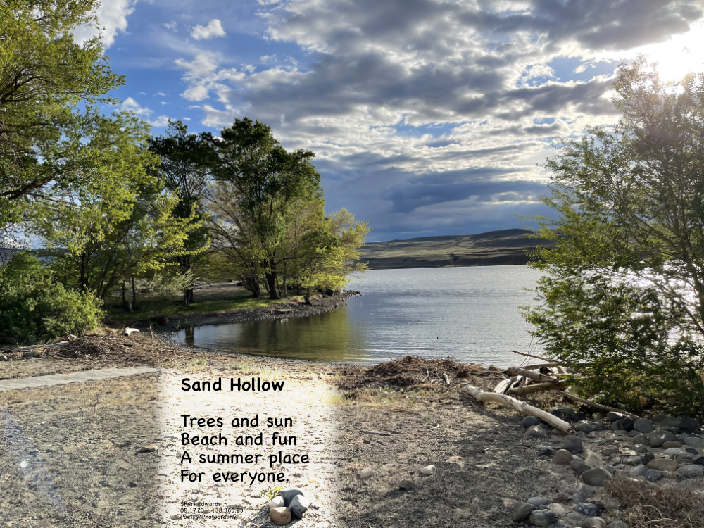 Swim, picnic, enjoy the cool!
Everyone welcome for the day or to camp.
New from Grant County PUD near Beverly, WA.
Sand Hollow Recreation Area on Wanapum Reservoir, just south of the Vantage I-90 bridge on the east side of the Columbia River.
