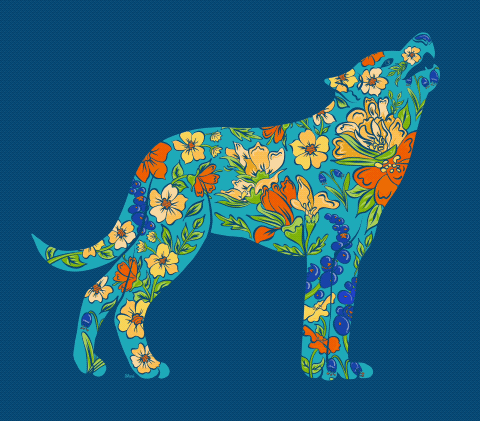 gif of all the color versions 