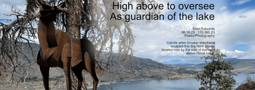 Colville artist Smoker Marchand sculpted this Big Horn Sheep located now by the side of the road above Omak Lake.