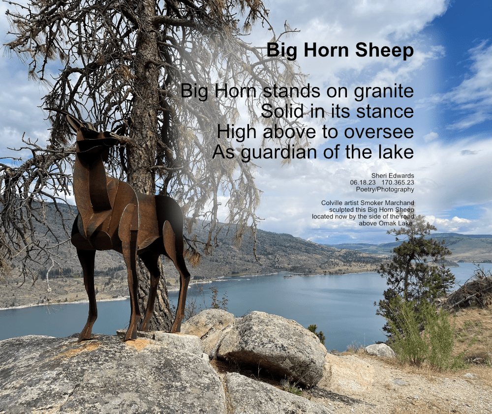 Colville artist Smoker Marchand sculpted this Big Horn Sheep located now by the side of the road above Omak Lake.