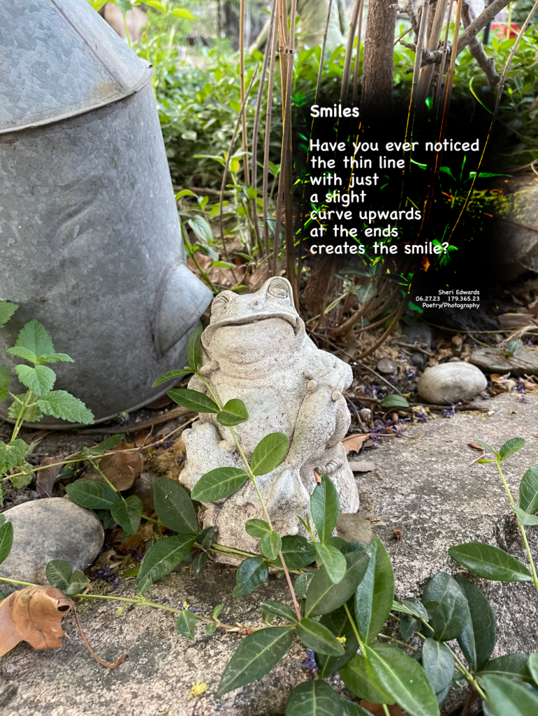A friend gave me this lovely toad, whose smile in my garden brightens my everyday.