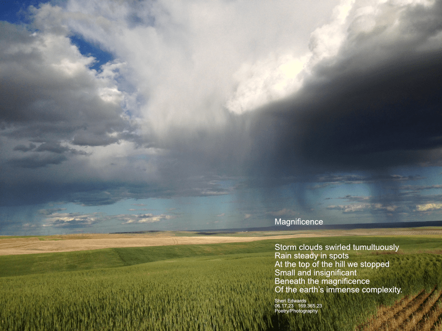 Storms gather across wide spaces, magnificent across the horizon, and we seem insignificant.