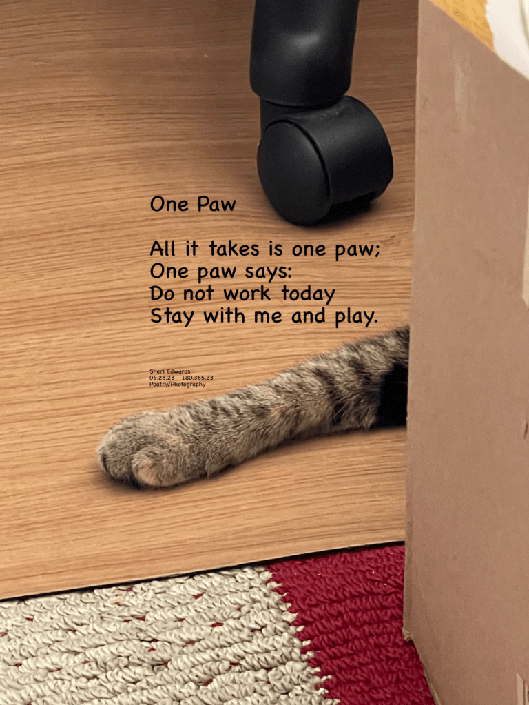one paw is all that is seen behind a cabinet and in front of an office chair