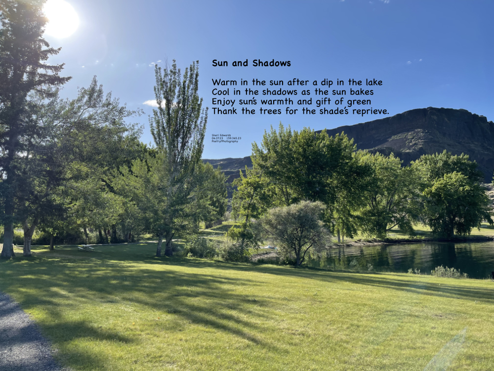 Steamboat Rock State Park, a balance of sun and shade, thanks to magnificent trees.