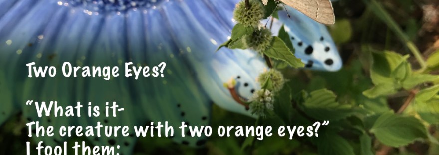 Gray Hairstreak (Strymon melinus) Butterfly on mint flower in front of ceramic flower garden ornament.