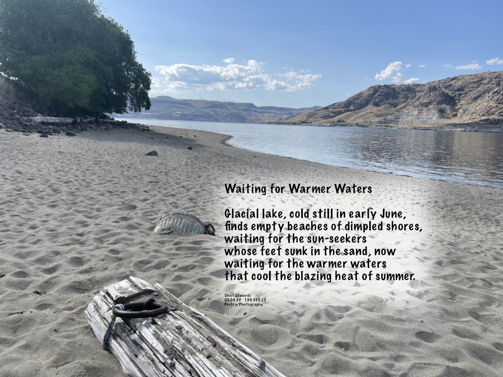 Spring Canyon beach with dimpled sand from sun-seeking, cool waters-loving people on Lake Roosevelt [Columbia River] at Lake Roosevelt National Recreation Area with log booms and anchors lost in the winter sand, waiting for higher waters after flood control measures at Grand Coulee Dam.
