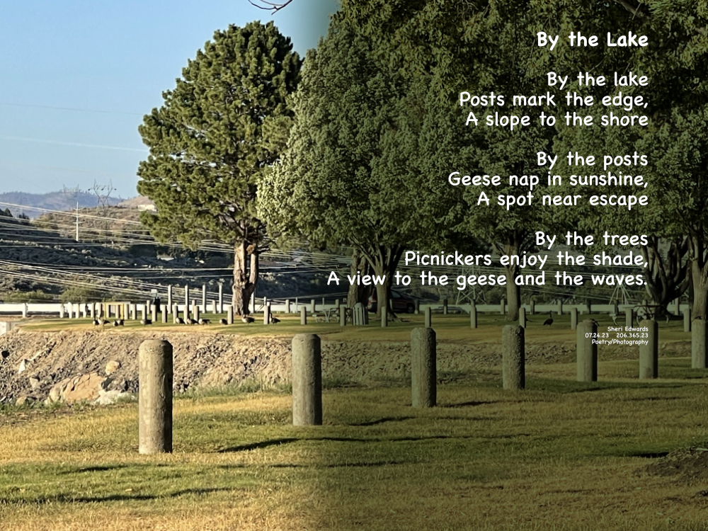 While picnicking at Banks Lake, I wondered what had been installed next to the posts by the lake edge of the park. LOL. It was napping geese.