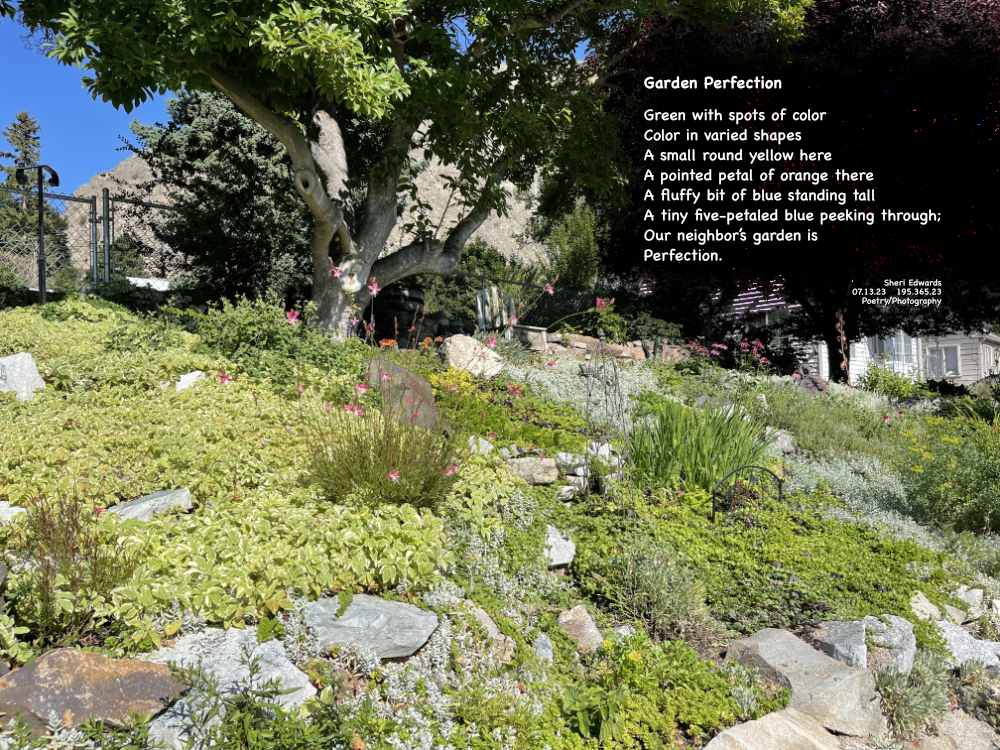 Neighbor’s Perfect Garden