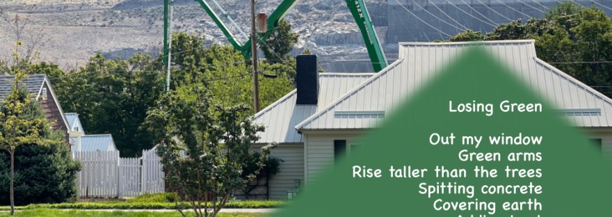 The arms of a cement truck, taller than the trees and between houses, stretch to fill a backyard with concrete.