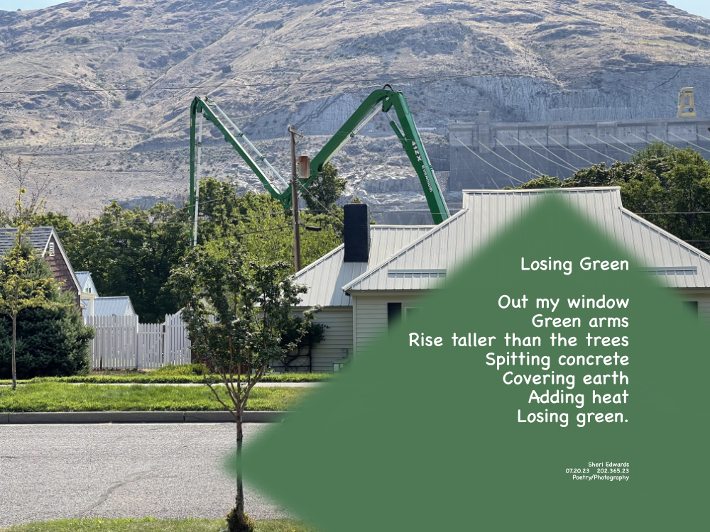 The arms of a cement truck, taller than the trees and between houses, stretch to fill a backyard with concrete.