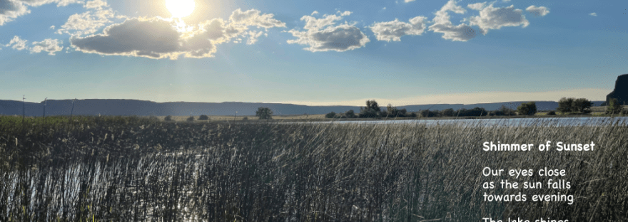 July sunset on the tules in Banks Lake