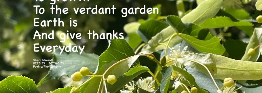 A plant of so many greens with its leaves and flowers.