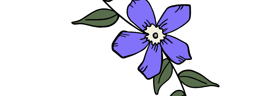 vectorized periwinkle and leaves