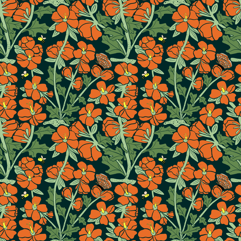 Globe mallow wildflower of the shrub-steppe