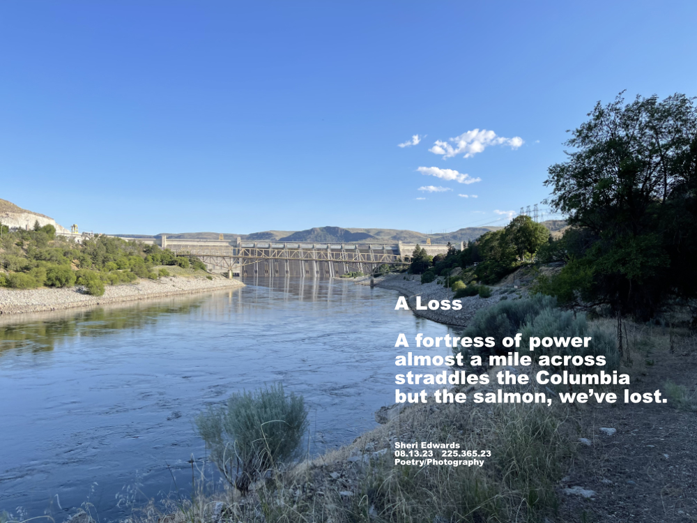 a mile downstream from Grand Coulee Dam