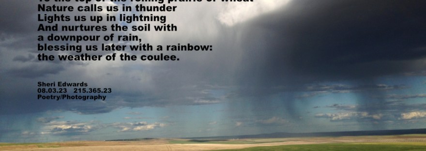 on the rolling wheat fields, a thunderstorm waters the fields