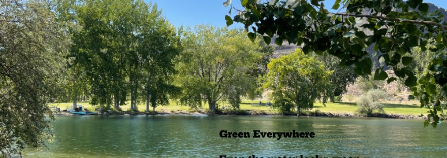 Banks Lake on a hot day in the shade where even the water looks green.