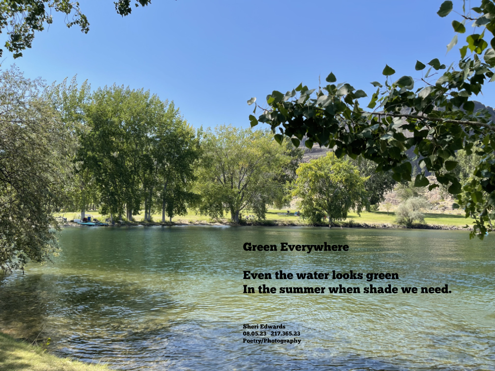 Banks Lake on a hot day in the shade where even the water looks green.