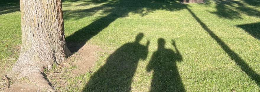 waving shadows in Pioneer Park in Waterville, Wa