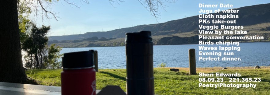 Picnic table with watter bottles, napkin, take-out dinner on Banks Lake, WA [North Dam Park]