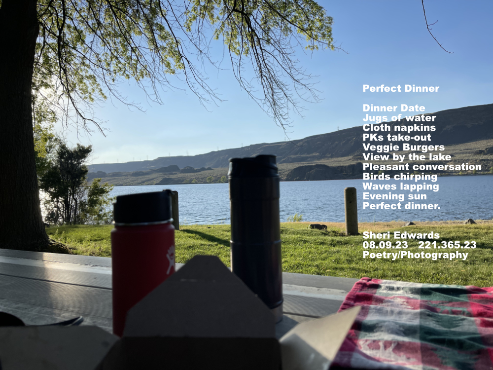 Picnic table with watter bottles, napkin, take-out dinner on Banks Lake, WA [North Dam Park]