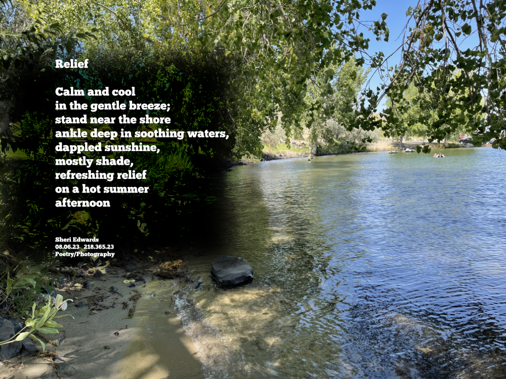 Sunny afternoon in the shade of maple and cottonwood trees at Banks Lake ,WA