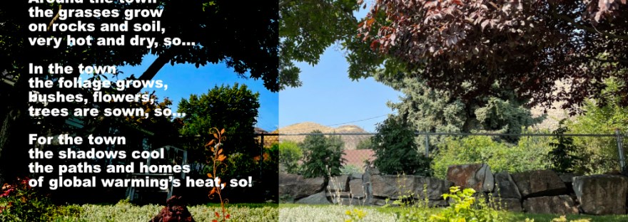 a neighbor's yard from where I can now see the dry rock and hills of the surrounding shrub-steppe ecosystem because the city chopped down 34 90 year old trees that once blocked this view and shaded the town