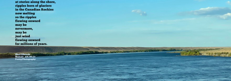 The Hanford Reach of the Columbia River from the Vernita Bridge: 51 miles of free-flowing Columbia River