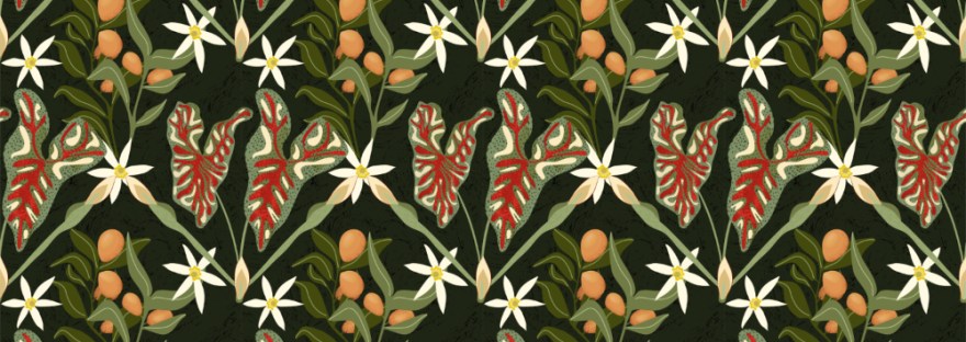 illustration/ surface design by Sheri Edwards