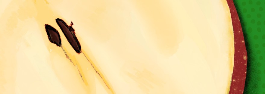 Apple, illustrated by Sheri Edwards with Procreate