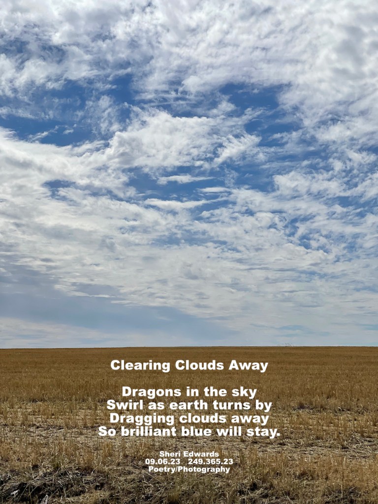 a dragon cloud in the sky chasing the clouds away