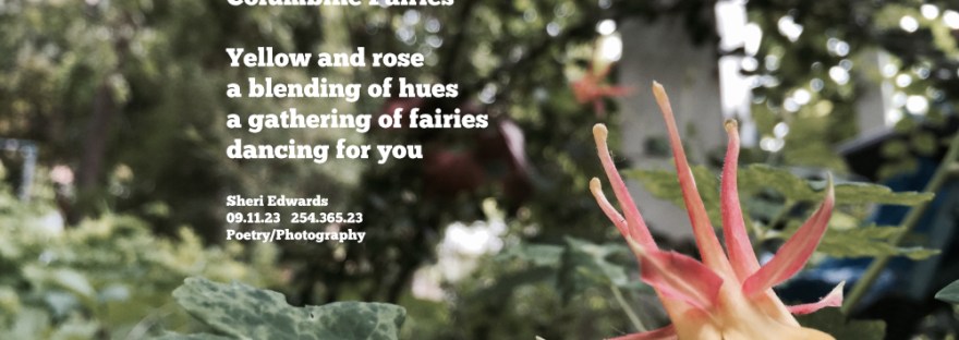 a columbine looks like a gathering of fairies