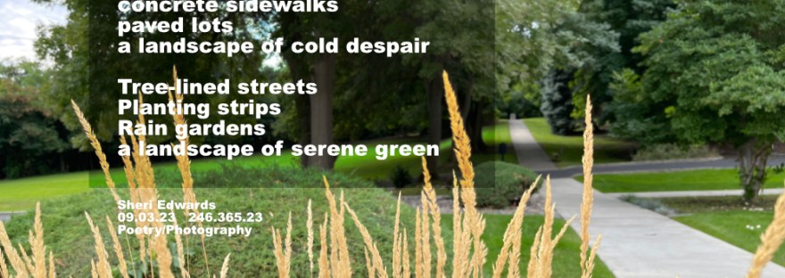 Cole Park; Spokane Teachers Credit Union greenery; landscaping for healthy communities