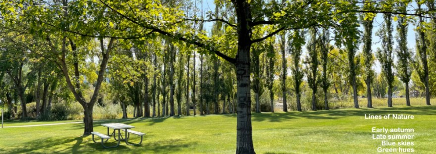 The late summer hues shade the last days at the lake