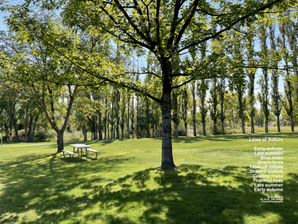 The late summer hues shade the last days at the lake