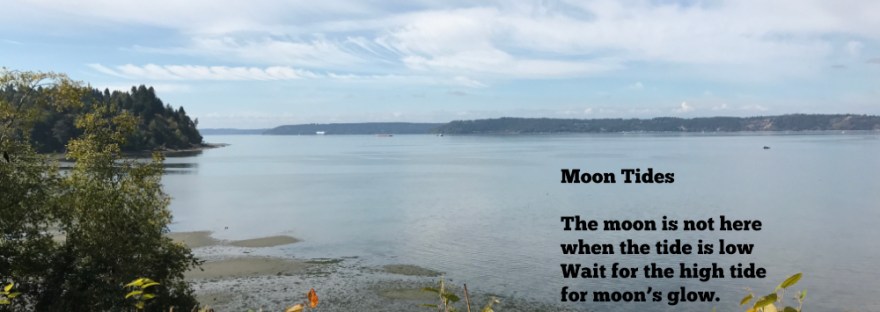 tide going out at Dumas Bay, WA