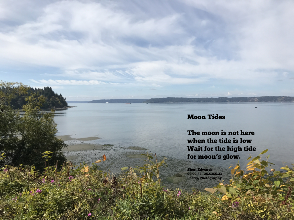 tide going out at Dumas Bay, WA