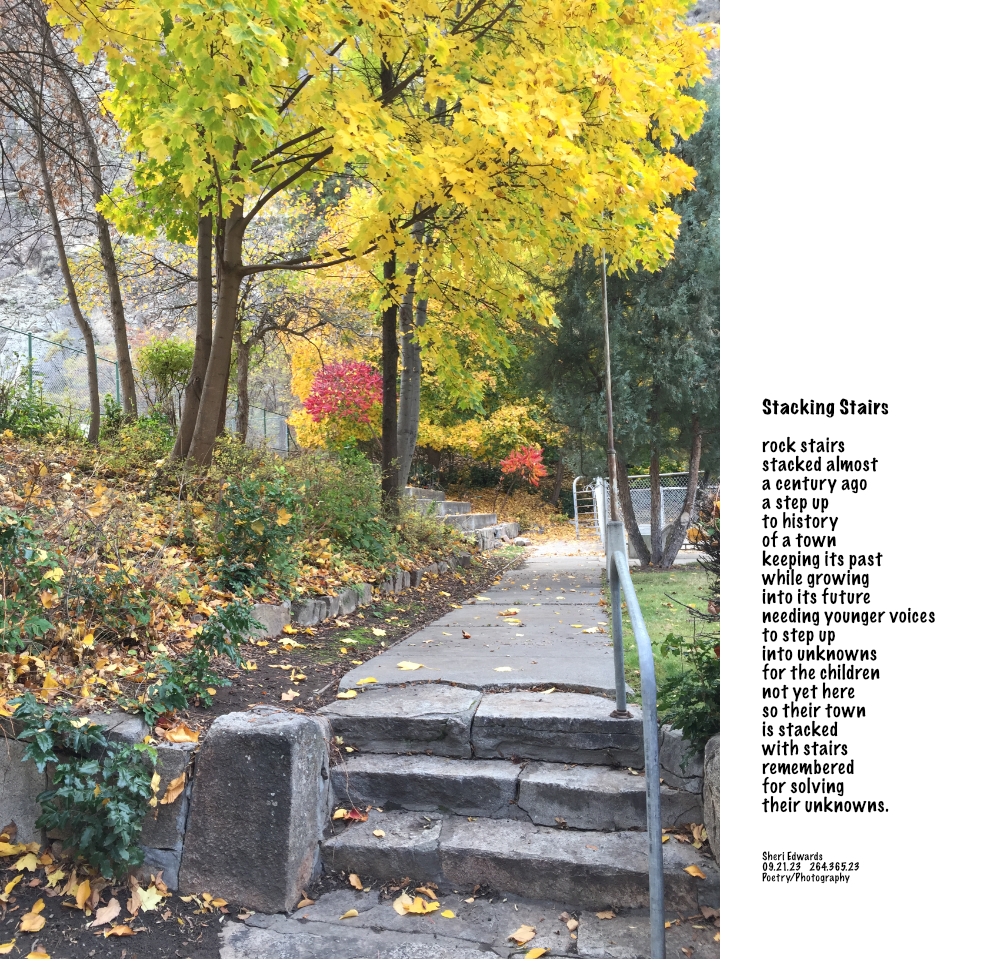 old rock stairway built by the CCCs in the thirties in Cole Park