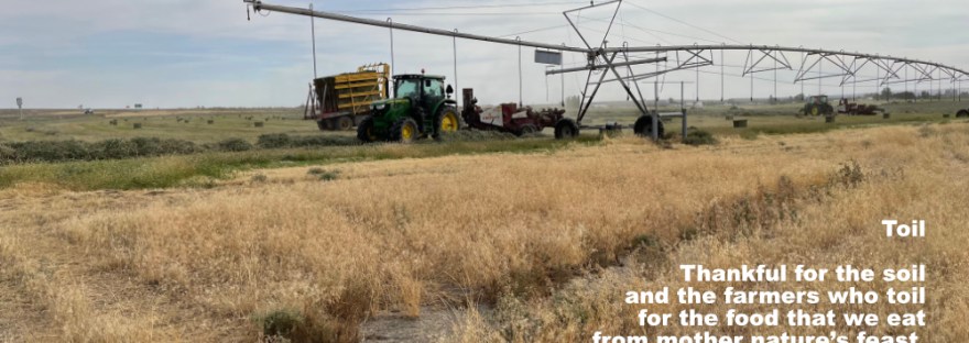 farm machinery outside Coulee City, WA