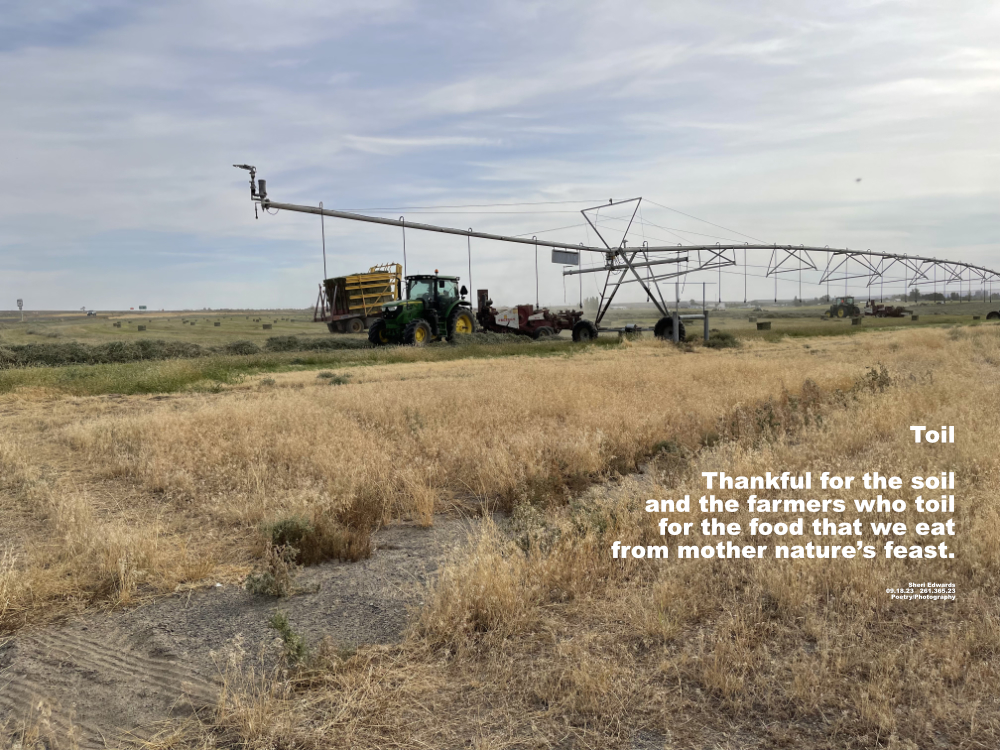 farm machinery outside Coulee City, WA
