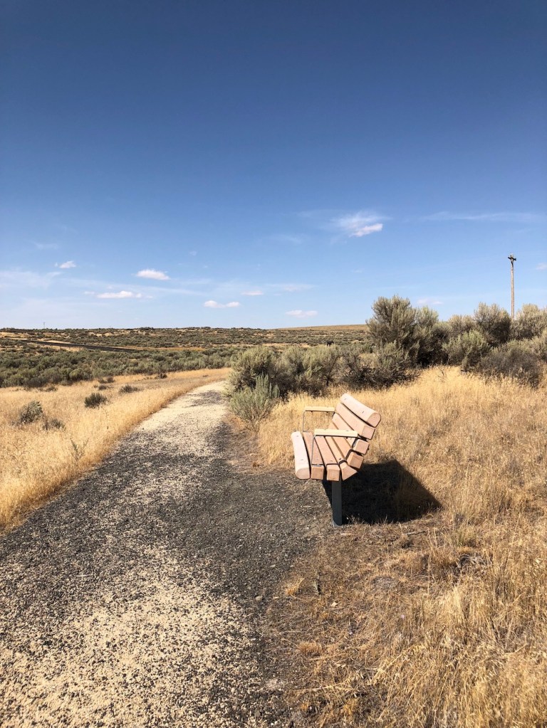 path on Odessa Crater trail