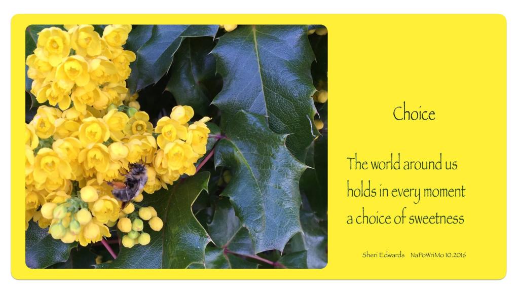 Oregon grape spring flowers