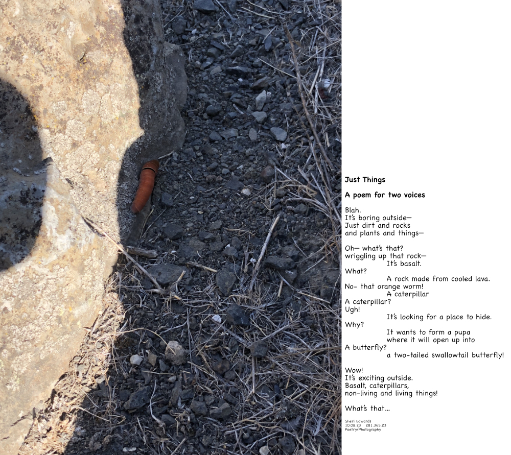 caterpillar on basalt and poem